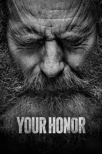 Watch Your Honor Dizi