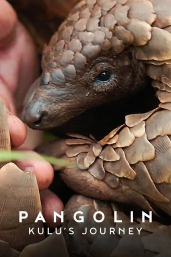 Watch Pangolin: Kulu'nun Yolculuğu Film