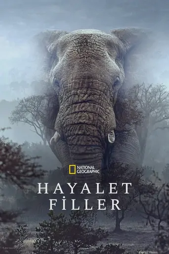 Watch Hayalet Filler Film