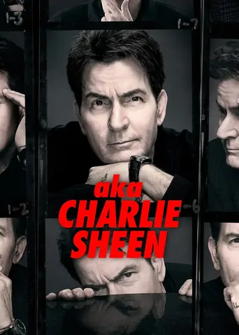 Watch Namıdiğer Charlie Sheen Dizi