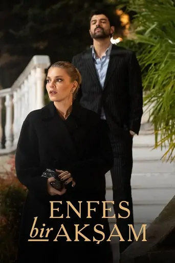 Watch Enfes Bir Akşam Dizi