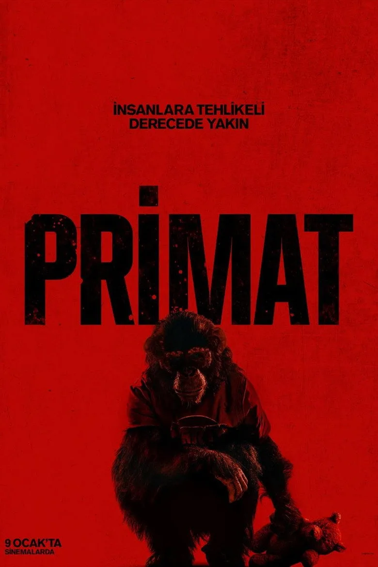观看Primat Film